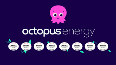 OpenGraph image for share.octopus.energy/storm-gaur-183