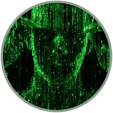OpenGraph image for sites.google.com/corp/view/bananahackers/install-omnisd/OmniSD