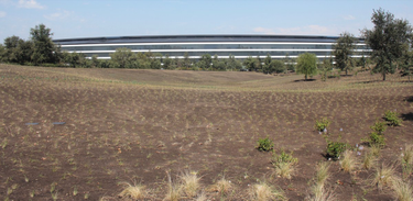 OpenGraph image for sixcolors.com/post/2017/09/a-visit-to-apple-park/