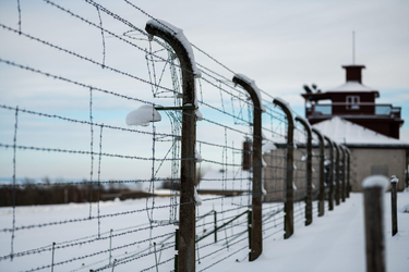 OpenGraph image for slate.com/news-and-politics/2021/02/deports-95-friedrich-karl-berger-nazi-guard.html