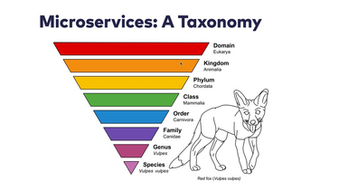 OpenGraph image for speakerdeck.com/stilkov/microservices-a-taxonomy-fc1fd277-5914-48e1-b08b-c5c2e3a3886e