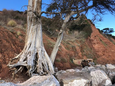 OpenGraph image for strava.app.link/Gf7NTBNiWnb