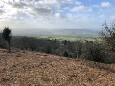 OpenGraph image for strava.app.link/QdPvUAveRnb