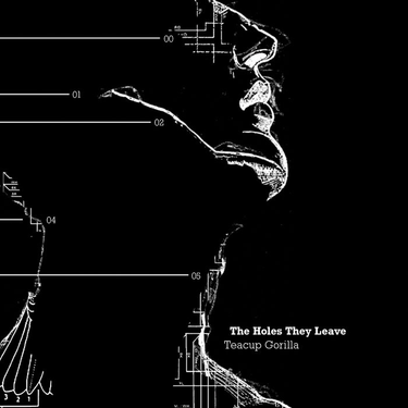 OpenGraph image for teacupgorilla.bandcamp.com/album/the-holes-they-leave
