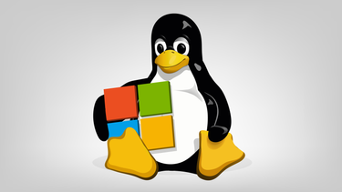 OpenGraph image for techcrunch.com/2016/11/16/microsoft-joins-the-linux-foundation/