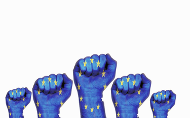 OpenGraph image for techcrunch.com/2023/01/31/gdpr-enforcement-reform-dpa-oversight/