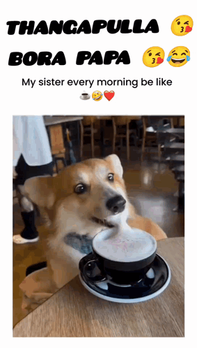 OpenGraph image for tenor.com/search/that-dog-drinking-coffee-with-fire-around-it-gifs