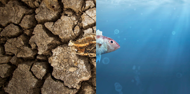 OpenGraph image for theconversation.com/climate-change-weve-created-a-civilisation-hell-bent-on-destroying-itself-im-terrified-writes-earth-scientist-113055