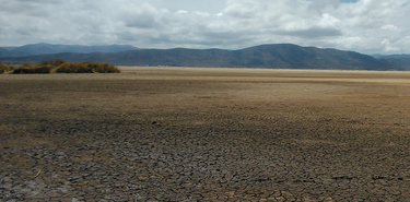 OpenGraph image for theconversation.com/lake-poopo-why-bolivias-second-largest-lake-disappeared-and-how-to-bring-it-back-152776
