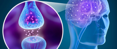 OpenGraph image for thedaily.case.edu/discovering-a-new-form-of-communication-in-the-brain/