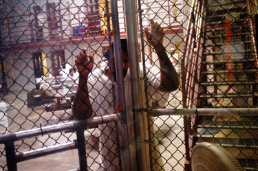 OpenGraph image for theintercept.com/2016/02/23/obamas-plan-to-close-guantanamo-would-establish-indefinite-detention-on-us-soil/