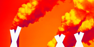 OpenGraph image for theintercept.com/2019/09/06/greta-thunberg-naomi-klein-climate-change-livestream/