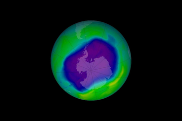 OpenGraph image for theintercept.com/2020/01/18/ozone-layer-epa-united-states-pollution/