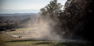OpenGraph image for theintercept.com/2020/01/20/political-surveillance-police-activists-tennessee/