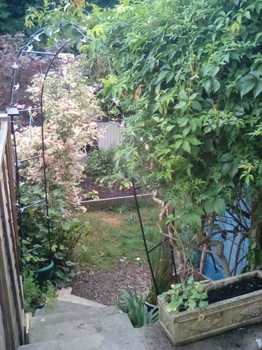 OpenGraph image for theradicalsabbaticalblog.wordpress.com/2018/08/06/a-radical-life/