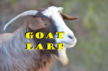 OpenGraph image for thirdeyepatch.wixsite.com/goatlarp