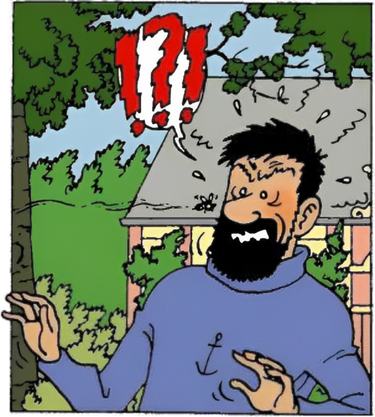 OpenGraph image for tintin.fandom.com/wiki/List_of_Captain_Haddock%27s_Curses