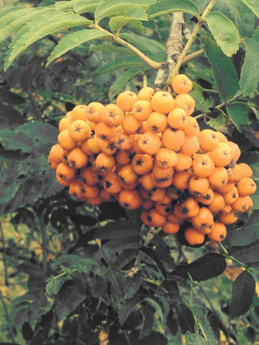 OpenGraph image for tmblr.co/ZUNk_l25IC_10