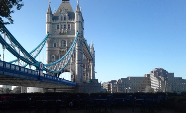 OpenGraph image for tmblr.co/ZUNk_l26-iqSO