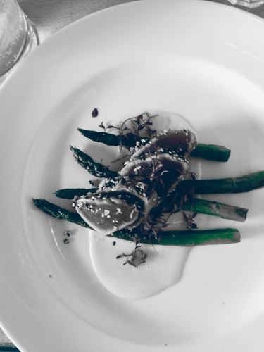 OpenGraph image for tmblr.co/ZUNk_l263QjJ5