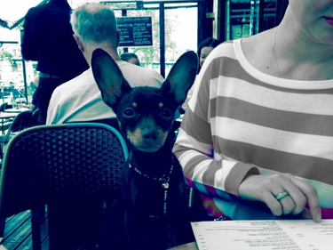 OpenGraph image for tmblr.co/ZUNk_l26du8Ly