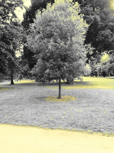 OpenGraph image for tmblr.co/ZUNk_l26pi8FI