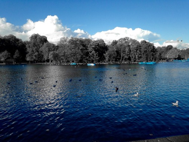 OpenGraph image for tmblr.co/ZUNk_l26syAvk