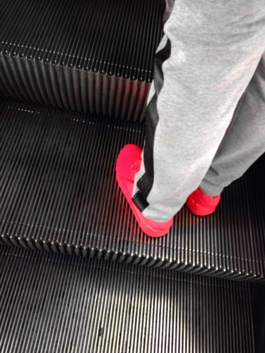 OpenGraph image for tmblr.co/ZUNk_l26yol2y