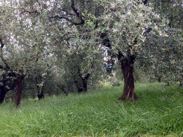 OpenGraph image for tmblr.co/ZUNk_l29E3-3M