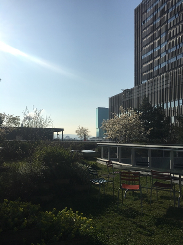 OpenGraph image for tmblr.co/Zvo-6o2KMhqh9