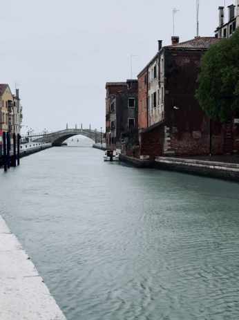 OpenGraph image for tmblr.co/Zvo-6o2jDh3nh