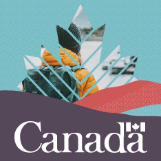 OpenGraph image for travel.gc.ca/travelling/advisories