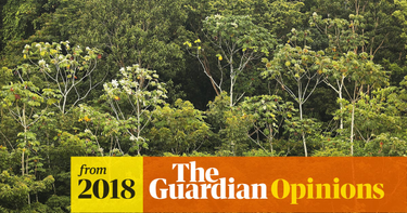 OpenGraph image for trib.al/Bjxl7dG