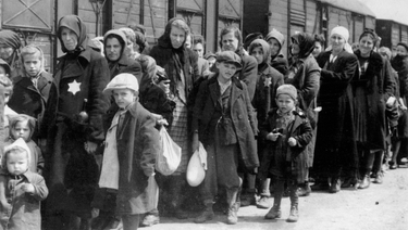 OpenGraph image for trib.al/dvfKT7d