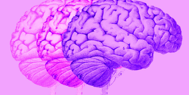 OpenGraph image for trib.al/gf7xVoH