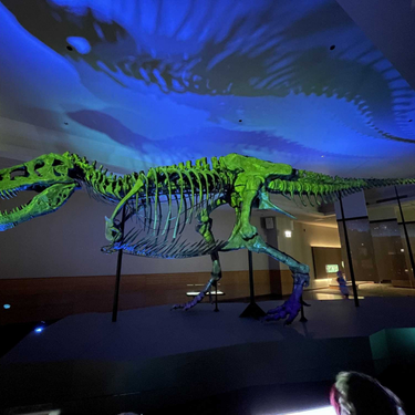 OpenGraph image for untp.beer/s/c1069184080