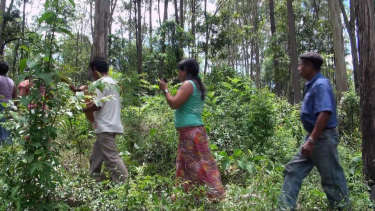 OpenGraph image for vimeo.com/ondemand/tavacasadepedra