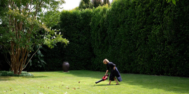 OpenGraph image for whyisthisinteresting.substack.com/p/the-nancy-meyers-leaf-blower-edition