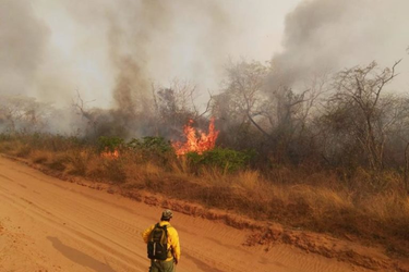 OpenGraph image for woborders.blog/2019/08/27/bolivia-burning-policy/