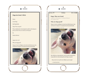 OpenGraph image for 24a11y.com/2019/what-a-year-of-learning-and-teaching-accessibility-taught-me/