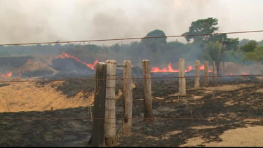 OpenGraph image for aljazeera.com/news/2019/08/brazils-president-calls-development-amazon-outrage-190829154958042.html