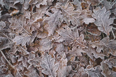 OpenGraph image for asyncapi.com/blog/release-notes-2.3.0