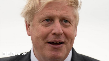 OpenGraph image for bbc.co.uk/news/uk-politics-61865032