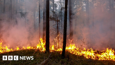 OpenGraph image for bbc.com/news/world-europe-49125391