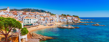 OpenGraph image for blacknight.com/register-cat-domains/