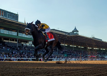 OpenGraph image for bloodhorse.com/horse-racing/articles/237687/successful-opening-day-a-triumph-for-santa-anita