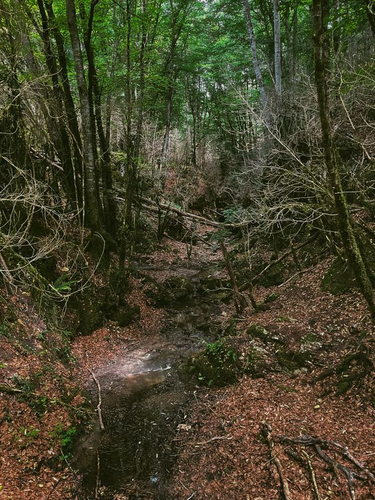 OpenGraph image for bloogart.com/dont-get-lost/