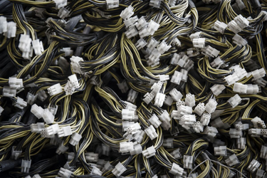 OpenGraph image for bloomberg.com/news/articles/2017-11-02/bitcoin-exchange-added-100-000-users-in-a-day-as-price-exploded