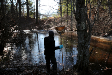 OpenGraph image for bostonglobe.com/metro/2020/01/18/trump-administration-allegedly-cuts-federal-scientists-out-new-water-policy/eRq03KhTRl7WteOJPce5tJ/story.html?event=event25