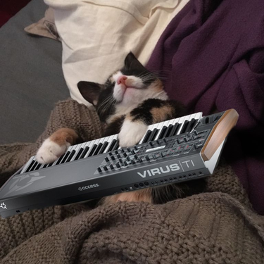 OpenGraph image for boy.sh/knows/to-move-your-time-machine-backup-to-another-disk-use-disk-utility